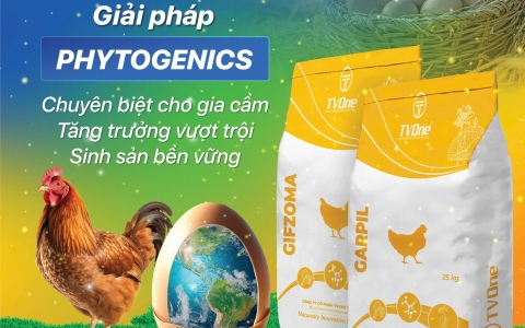 TVONE ngày thứ hai tại Vietstock 2025, hưởng ứng ngày trứng thế giới và giải pháp Phytogenics đặc biệt dành riêng cho gia cầm